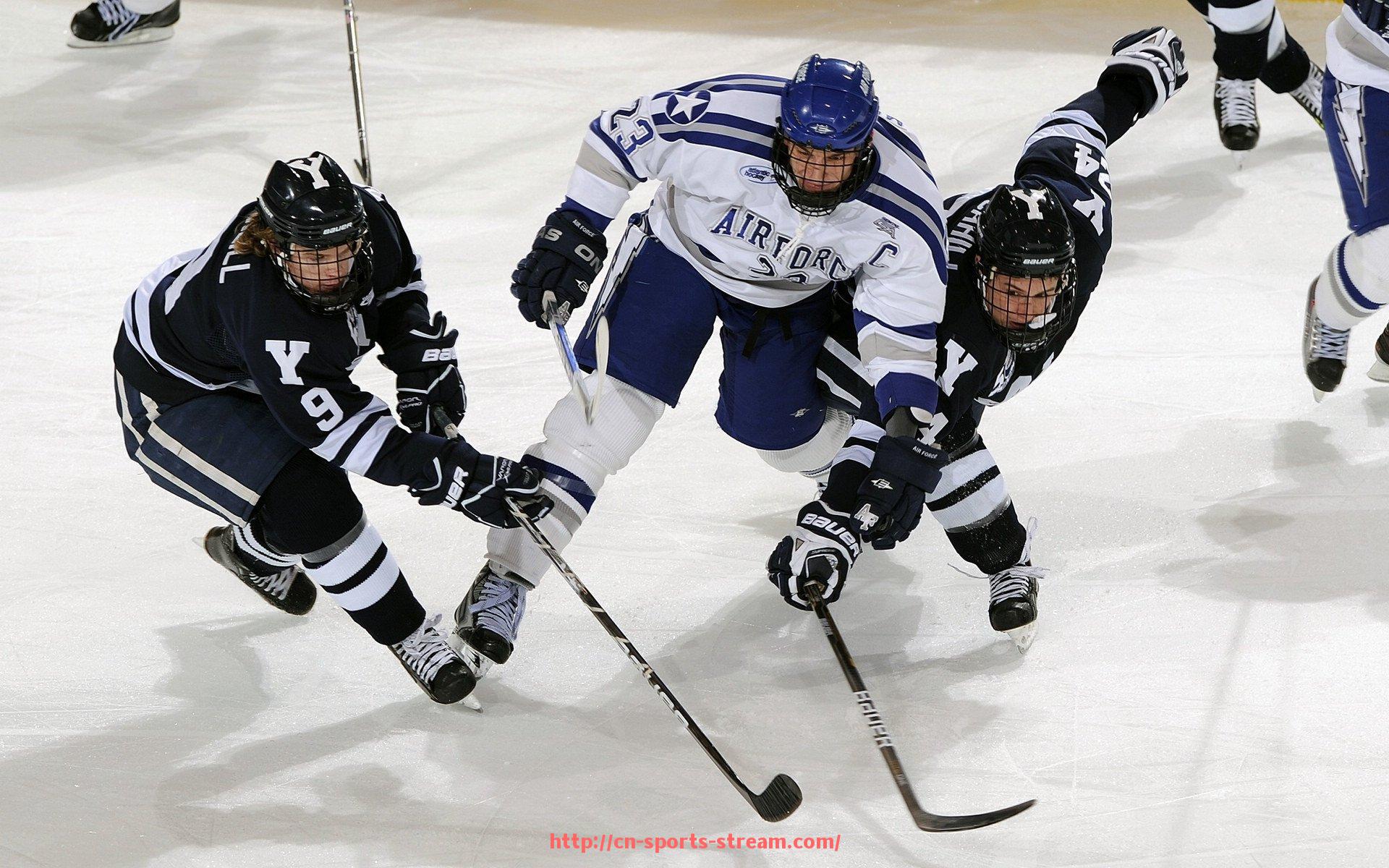 体育直播-组合健身器材锻炼方法：如何使用组合健身器材进行有效锻炼